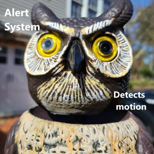 BIRD WATCHER™ Hidden Camera Surveillance Owl 360° Vision Sentry Seer