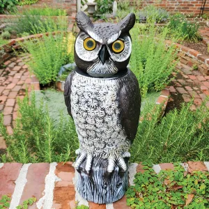 BIRD WATCHER™ Hidden Camera Surveillance Owl 360° Vision Sentry Seer