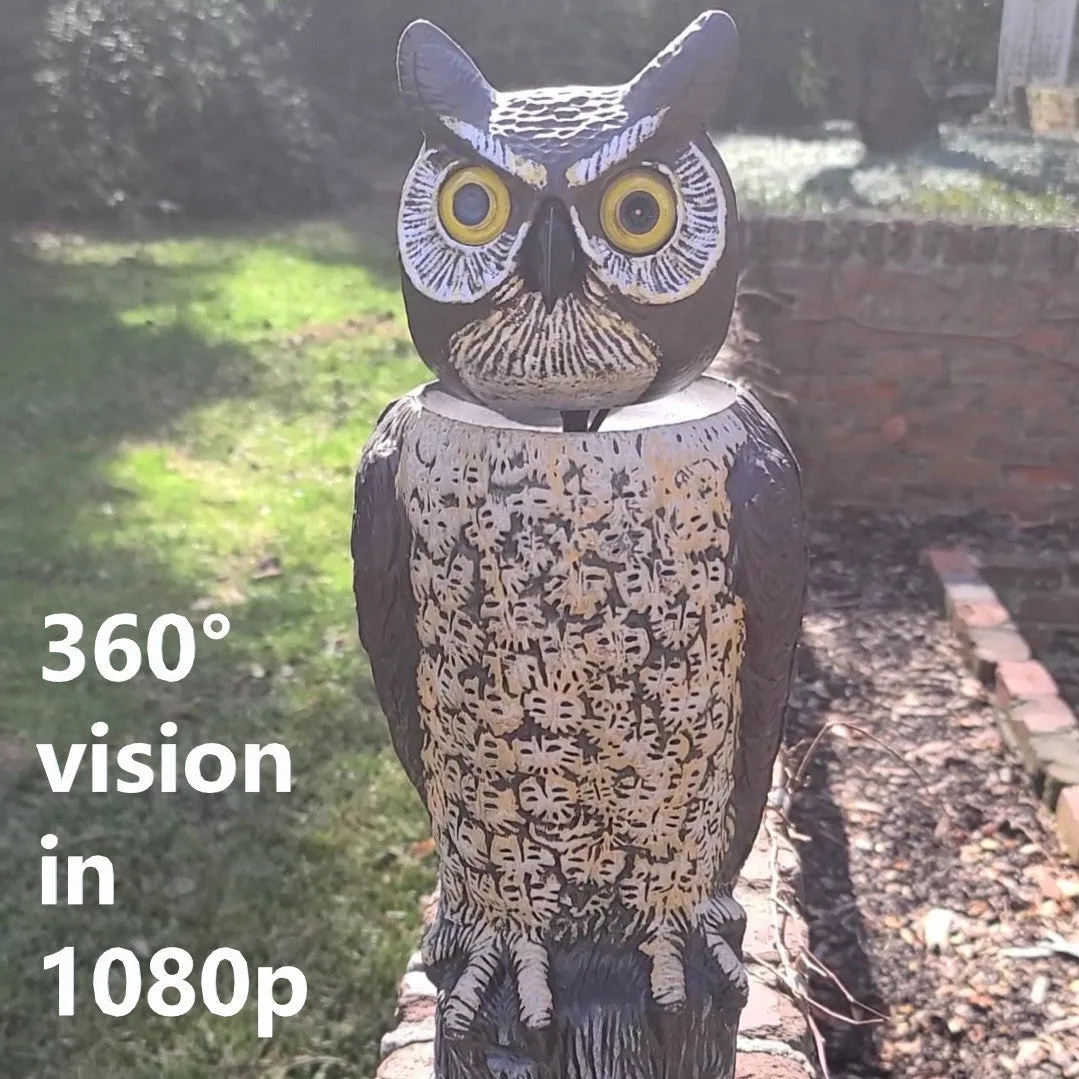 BIRD WATCHER™ Hidden Camera Surveillance Owl 360° Vision Sentry Seer