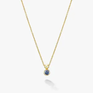 Birthstone Solo Necklace