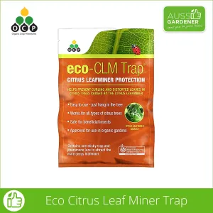 OCP eco Citrus Leaf Miner Trap