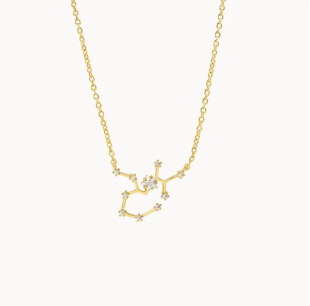 Secret Box Zodiac Necklace