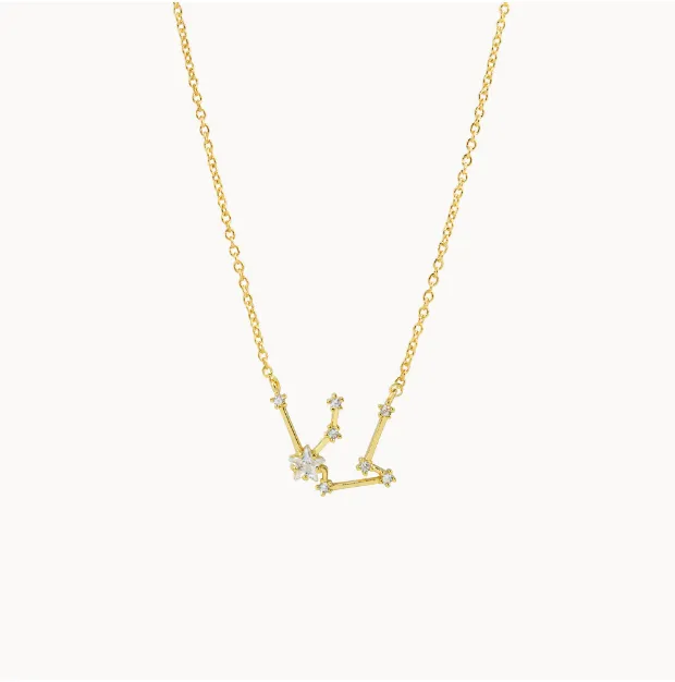 Secret Box Zodiac Necklace